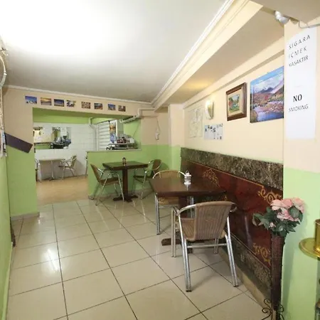 酒店 Erciyes Suites 伊斯坦布尔